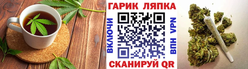 купить закладку  Жиздра  Cannafood конопля 