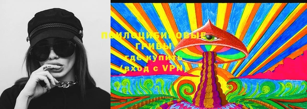 ПСИЛОЦИБИНОВЫЕ ГРИБЫ Богданович