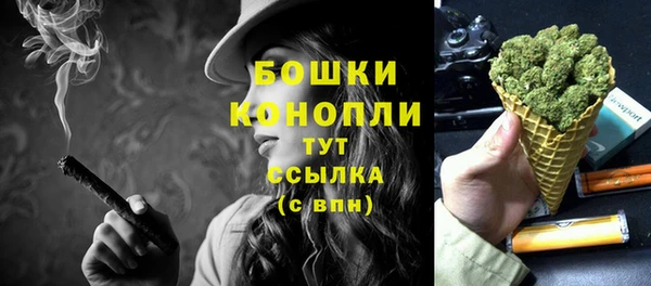 ПСИЛОЦИБИНОВЫЕ ГРИБЫ Богданович