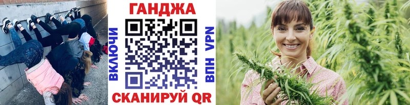 Конопля гибрид Жиздра